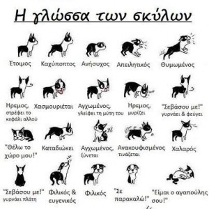 η γλώσσα των σκύλων